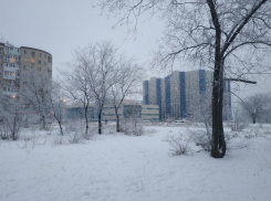 Волгоградцев снова будет радовать снег