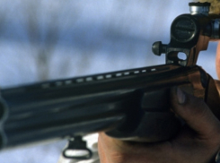 Под Волгоградом браконьер выплатит 200 тысяч за незаконную охоту