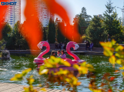 С аномального тепла стартует ноябрь в Волгограде