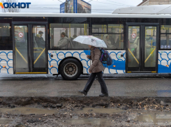 Преступника из федерального розыска поймали контролеры троллейбуса в Волгограде
