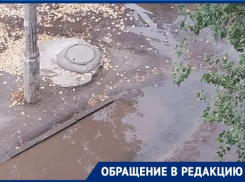 Извергаются фекалии из колодца: уборке речки-вонючки мешают сваленные ветки в Волгограде 