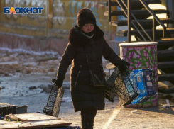 С поиска работы начали январь более 11 тысяч волгоградцев