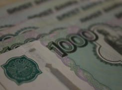 Волгоградская ОПГ заработала на торговле контрафактом больше 124 млн рублей 