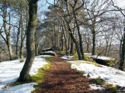 Бумажная волокита и дополнительные доходы: гороскоп для волгоградцев на начало апреля