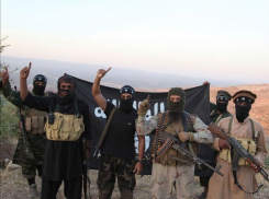 Под Волгоградом чеченец, восхваляющий ИГИЛ, пойдет под суд