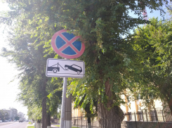 Волгоградцев шокировали тарифы на платную парковку