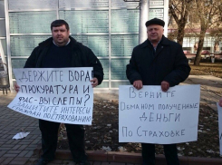 Волгоградские автолюбители приехали на пикет против ОСАГО на маршрутках