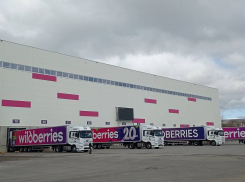 На задержки доставок Wildberries жалуются жители Волгограда