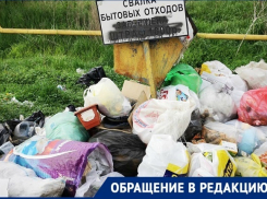 Стоянки с мусором оккупировали дорогу к городу Котельниково Волгоградской области