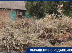 Волгоградцы уехали из частного сектора в квартиру из-за зловонной свалки 