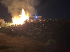 Свалку на 250 квадратах подожгли рядом с домами в Волгограде 