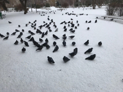 На выходных в Волгоградской области потеплеет и пойдет снег
