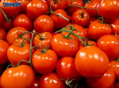 Помидоры стали золотыми: с волгоградских дачников потребовали по 67,5 тысячи за участок