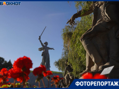 Ради чего россияне рванули в Волгоград осенью: топ популярных мест для туристов 