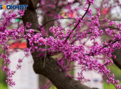 Суббота в Волгоградской области начнется с грозы