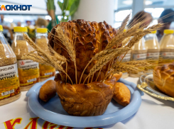 В Волгограде готовят грандиозный гастрономический фестиваль