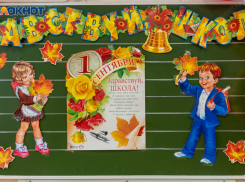 Волгоградцы выступили против очередного дистанта в школах с 1 сентября