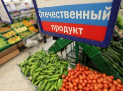 В Волгоградской области работают над созданием интернет-базы дефицитных продуктов 