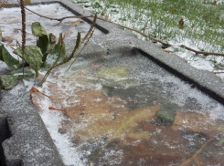 В Волгоградской области похолодает до -2 градусов