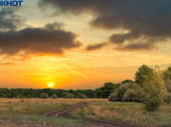 «Это фейк комитета транспорта»: в Волгограде не верят в разрешение Минприроды строить дорогу в Волго-Ахтубинской пойме