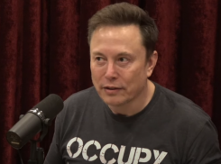 Волгоградки не рвутся рожать от Илона Маска и переезжать в Техас 