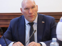 Николай Валуев и Кевин Джонсон приедут в Волгоград