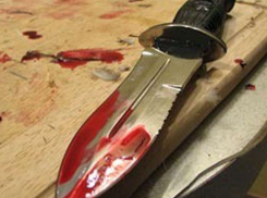 Жители Волгоградской области отговорили убийцу накладывать на себя руки 