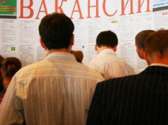 Власти рапортуют о снижении уровня  безработицы в Волгоградской области