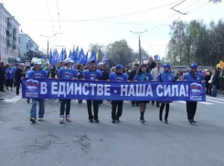 «Единая Россия» в Волгограде может потерять депутата областной Думы 