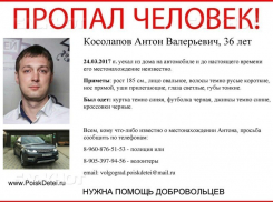 Племянник главы Волгограда и его Range Rover пропали в Волгоградской области 