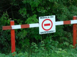 Волгоградцы не смогут поехать в лес на шашлыки еще две недели