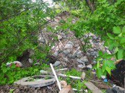 Росприроднадзор обязал мэрию Волгограда очистить родник от свалки