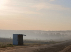 Тело мужчины обнаружили за остановкой в Волгоградской области