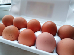 Резкий скачок цен на яйца зафиксирован в Волгограде