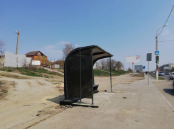 Позорные остановки-баклажки не пустили за пределы Волгограда