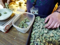 Под Волгоградом отец семейства соорудил в квартире три тайника с наркотиками