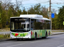 Волгоградские автобусы в День России перейдут на особый режим работы
