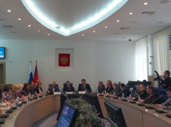 На заседании волгоградских депутатов общественники заявили, что не хотят быть прокладкой