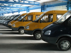 Госавтоинспекторы устроили «охоту» на маршрутчиков-нарушителей в Волгограде