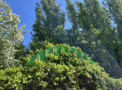 Знаменитый дендрарий Волгограда признали памятником природы 