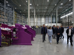 Мэрия Волгограда судится с Wildberries из-за суммы с шестью нулями