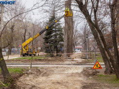 В Волгограде резко вырос масштаб городского аврала перед визитом двух президентов