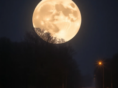 Снежное полнолуние увидят жители Волгограда в ночь на 13 февраля 