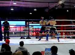 В Волгограде пройдет финал кубка России по ММА с Федором Емельяненко