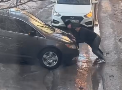Рождаемость повышают с помощью ледяных кряжей в Волгограде - видео 