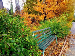 До -8ºС похолодает в первые сутки ноября в Волгоградской области