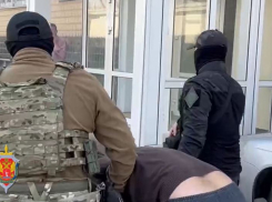 Сотрудники волгоградской ФСБ скрутили оправдывающих атаку на Белгород — видео