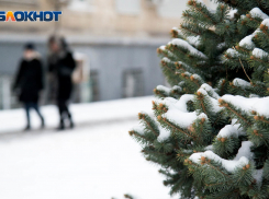 Ночь в режиме беспилотной опасности провели волгоградцы