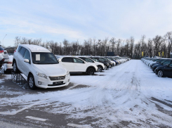Эксперты компании Fresh Auto рассказали, как заработать в кризис