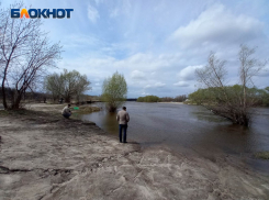 «Следователям отказывают в водолазах»: в Урюпинске продолжат поиски пропавшей на свидании с сотрудником УФСИН девушки